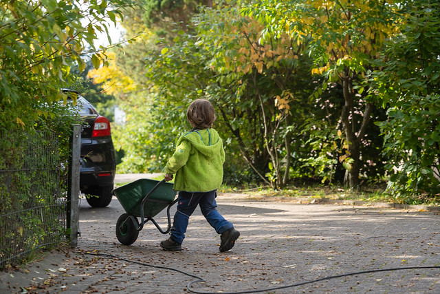 ЮРИЙ ПОЗДНИКОВ – stock.adobe.com